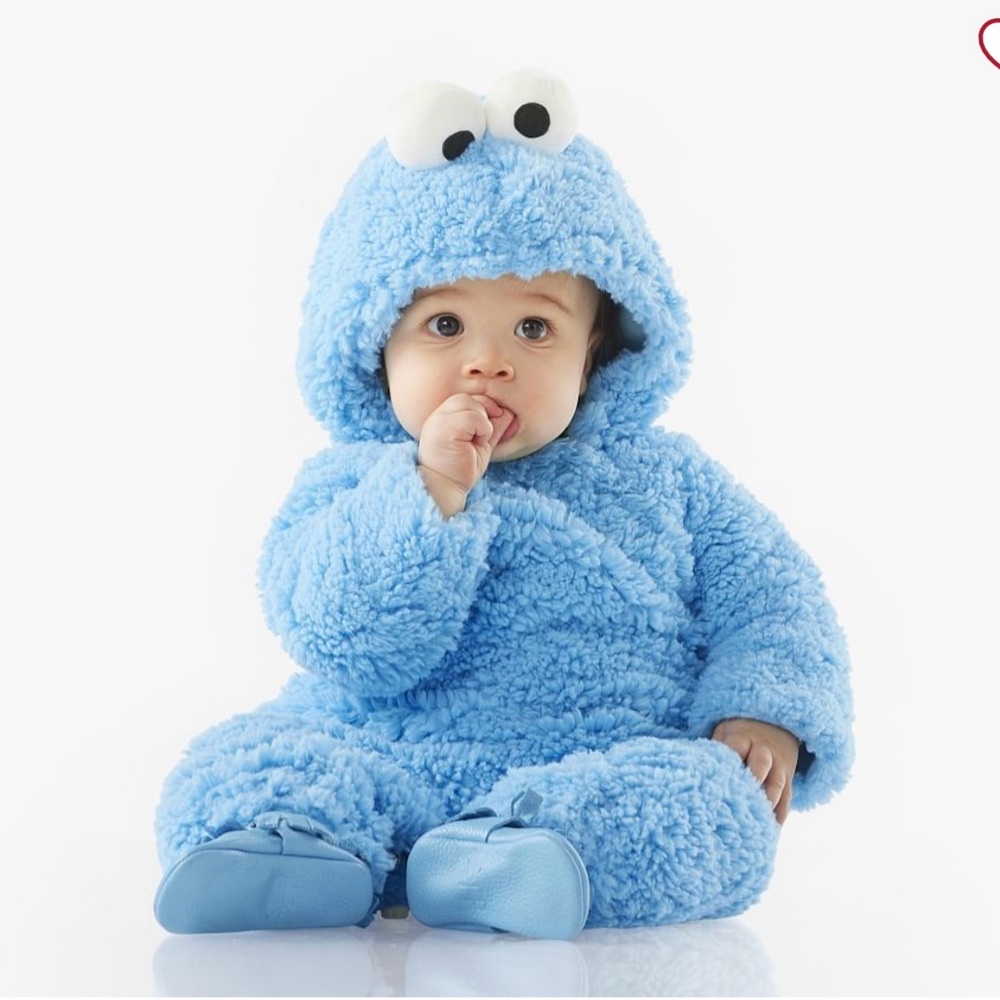 Pottery Barn Kids Sesame Street Cookie Monster Costume